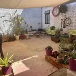 Home Sweet Home Guanajuato