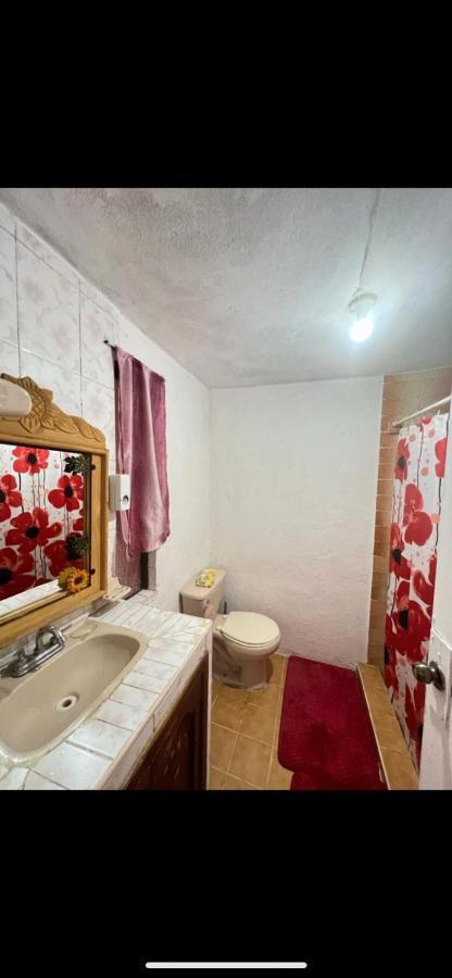 Sweet Bed and breakfast